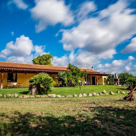 Agriturismo Carrucana Martis Extérieur photo